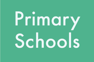 Primary School Button