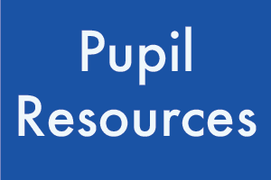 Pupil Resources button